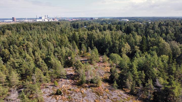 Mustavuoren suunnittelualueella on arvokkaita kallioita. Taustalla näkyy Vuosaaren satama. Ilmakuva: Antti Honkanen