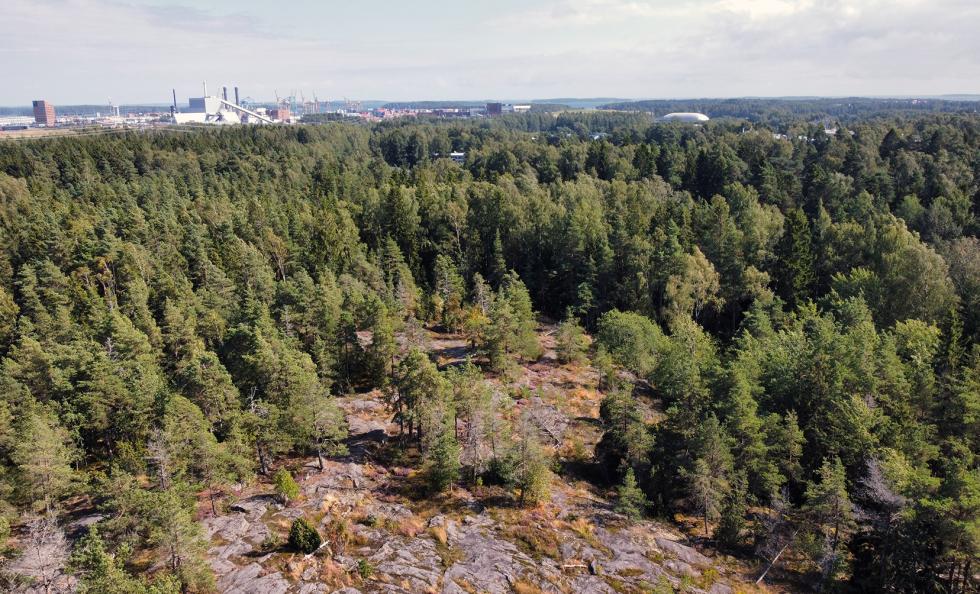 Mustavuoren suunnittelualueella on arvokkaita kallioita. Taustalla näkyy Vuosaaren satama. Ilmakuva: Antti Honkanen