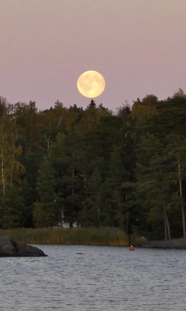 Täysikuu nousi kirkkaalla taivaalla 27.9. Aurinkolahdessa.                                                                                       Kuva: Katri Lehtonen
