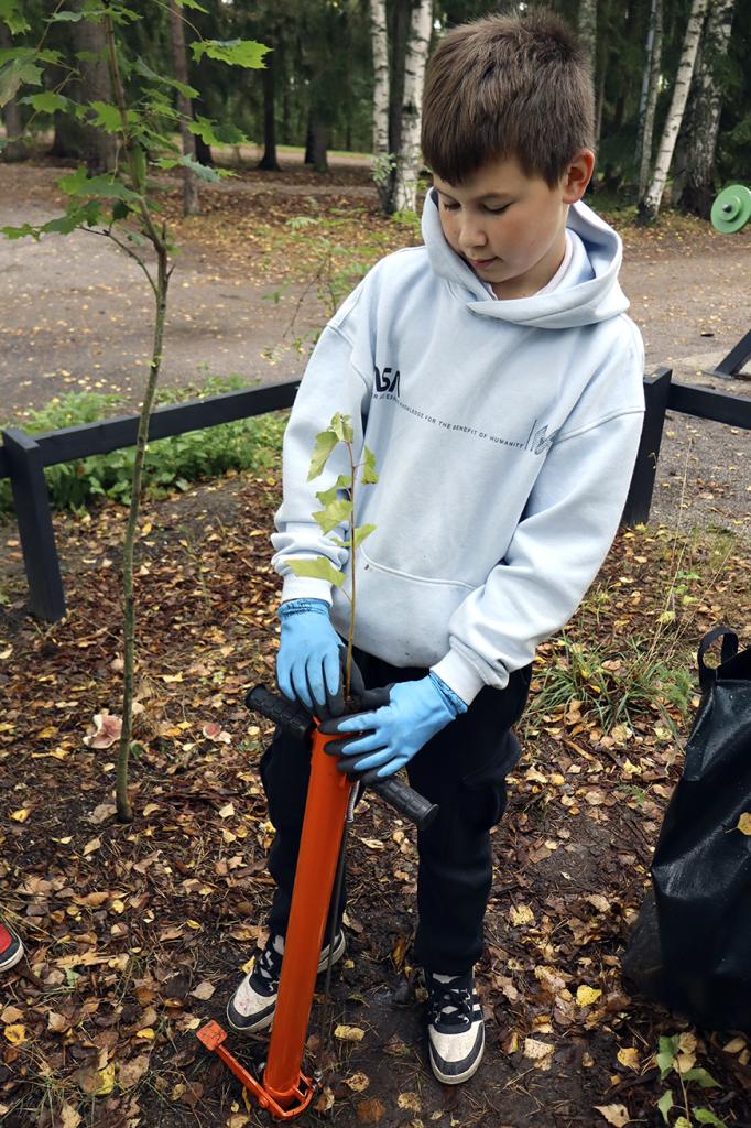 Vuoniityn peruskoulun 5B-luokan Elliot istuttamassa koivuntaimea pottiputken avulla.